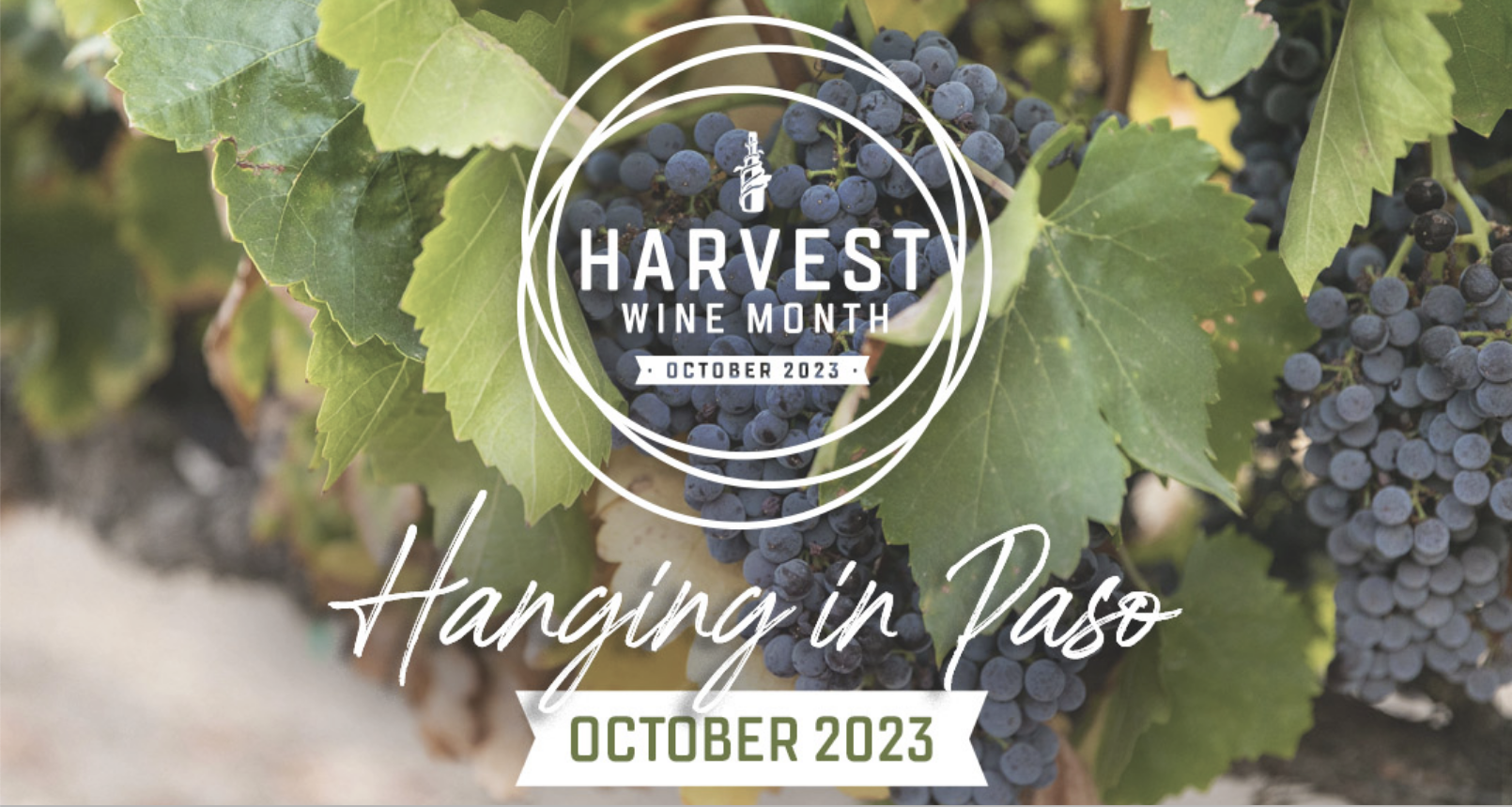 Harvest Wine Month in Paso Robles